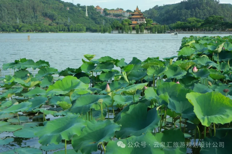 農文旅專題|從“資源”到“資產”：農文旅融合的三大核心模式與落地路徑