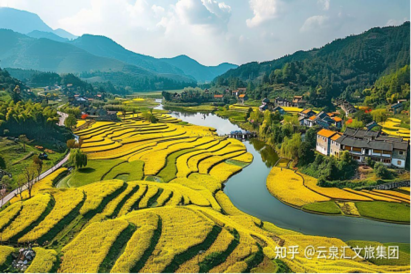 2025年最新鄉(xiāng)村振興補貼項目匯總！